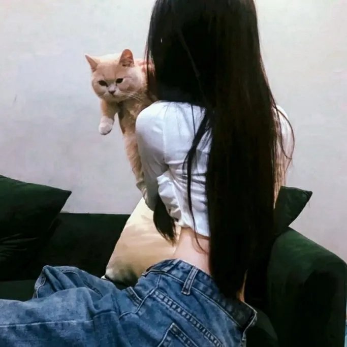 打雀英雄传